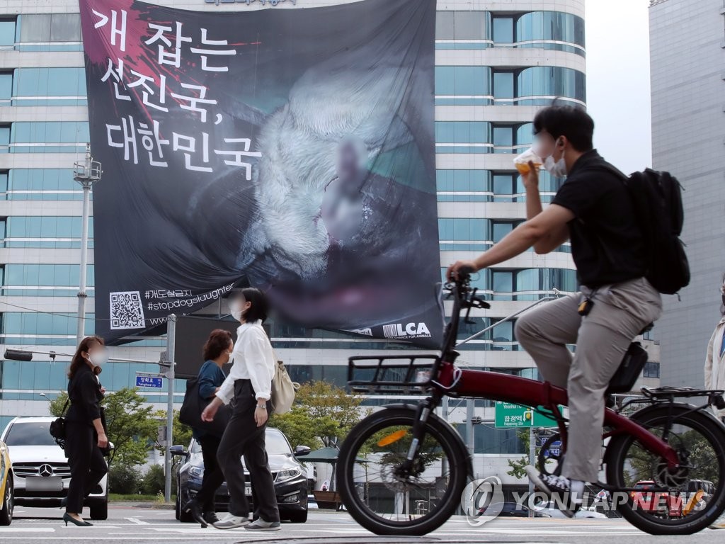 서울 도심에 걸린 '개 식용 금지' 대형 현수막