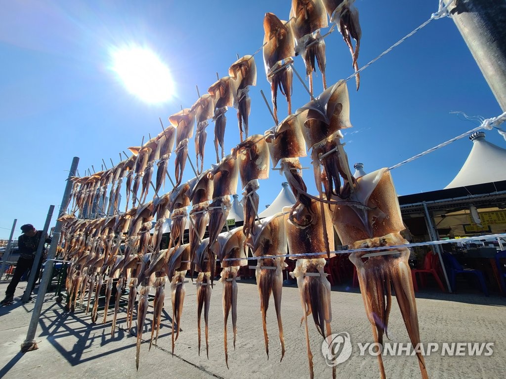 Drying squid Drying squid