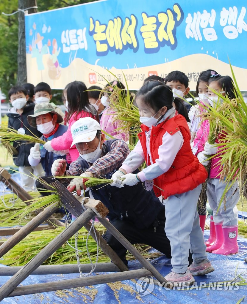 Los niños experimentan la cosecha del arroz Los niños experimentan la cosecha del arroz
