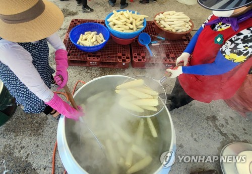 홍천찰옥수수축제 19일 개막…찰떡같은 옥수수 맛보세요