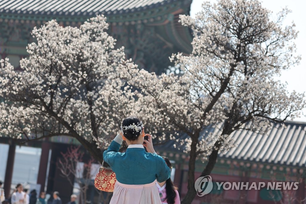 봄을 담다