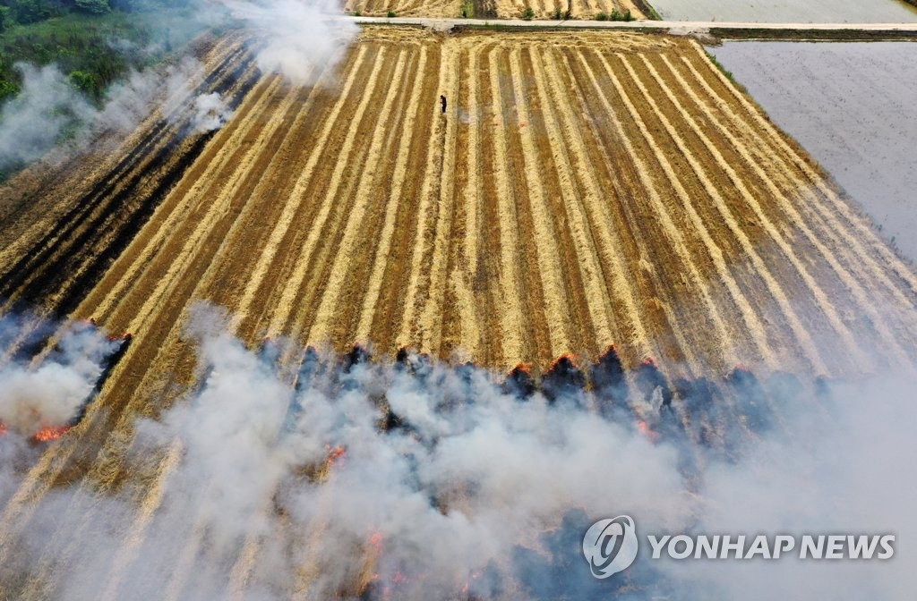 이모작 앞두고 보릿짚 태우기