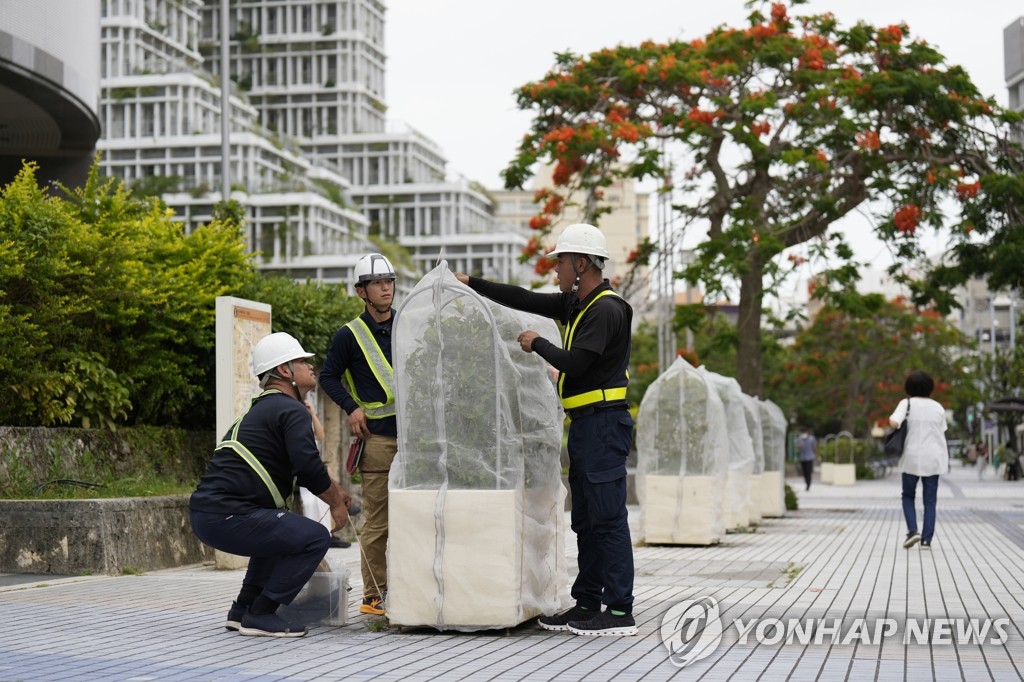 태풍 마와르 대비해 화분에 덮개 씌우는 日 관리인들