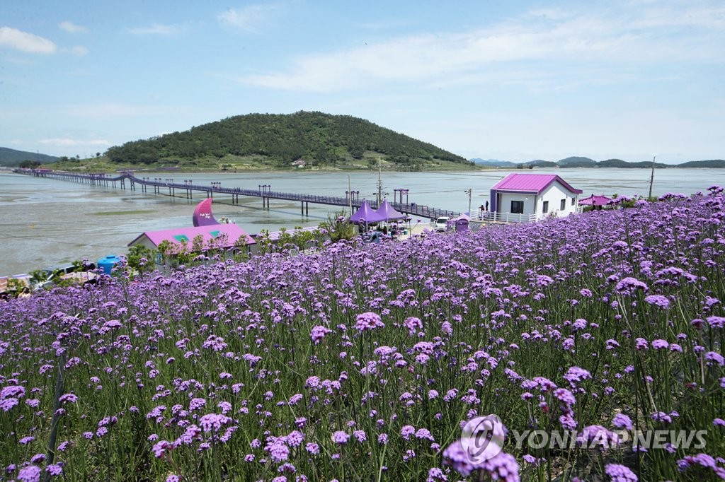 퍼플섬 풍경