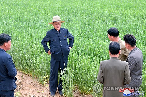 북한 김덕훈 총리, 신계군 정봉농장 현지요해