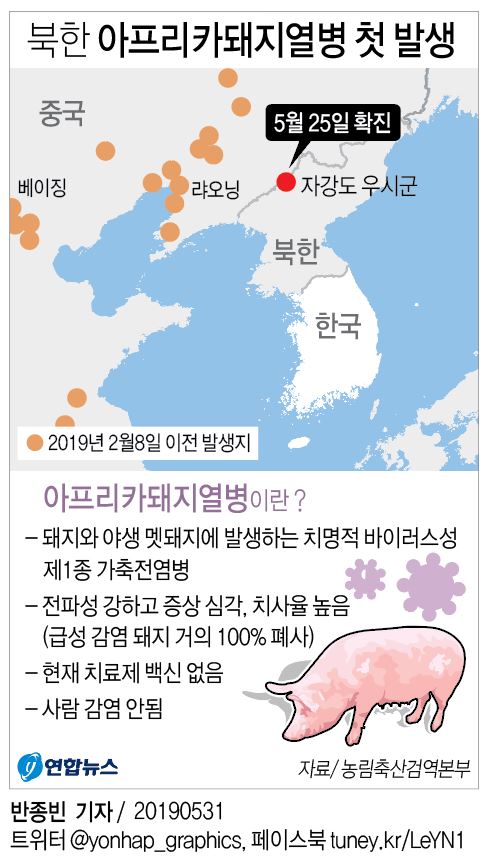 北朝鮮は５月３０日、国際獣疫事務局（ＯＩＥ）に対し、中国との国境を流れる鴨緑江付近の農場でアフリカ豚コレラが発生したと報告した＝（聯合ニュース）