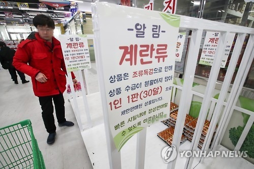 A shopper appears perplexed in front of a near-empty egg shelf at a supermarket in Seoul on Jan. 3, 2017. (Yonhap)