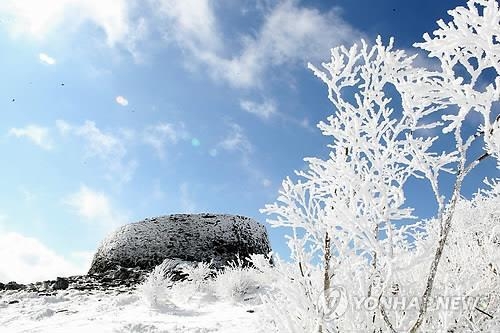 In this file photo, trees in Mount Taebaek are covered in snow. (Yonhap)