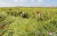 N. Korea's harvest estimated to come below average, aggravate food shortages: report