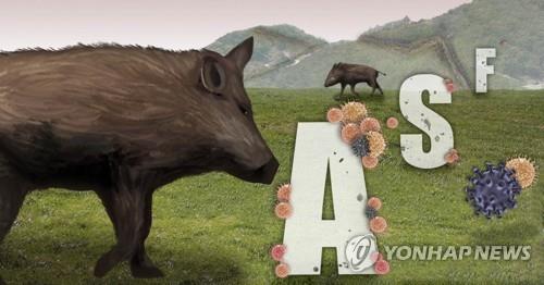 S. Korea reports 19 more wild boars infected with African swine fever