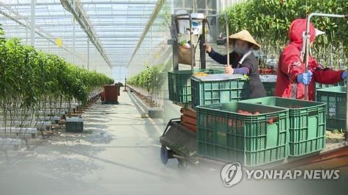Nearly 70 pct of foreign farming and fishing workers live in temporary structures: ministry