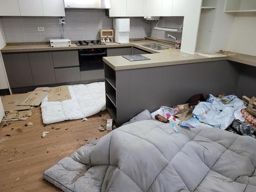 This photo, provided by the Jin Ward Office in Busan, shows an apartment in a mess after its owner falsely reported that a tenant moved out leaving 14 cats behind. (PHOTO NOT FOR SALE) (Yonhap)