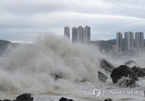 In this file photo, a big wave hits the seaside of Ulsan, about 310 kilometers southeast of Seoul, on Sept. 6, 2022, as Typhoon Hinnamnor makes landfall in South Korea. (Yonhap)
