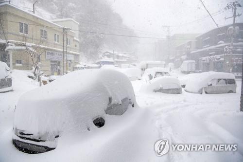Cars parked on eastern Ulleung Island are covered in snow on Jan. 24, 2023, after heavy snowfall was reported in the area. (Yonhap)