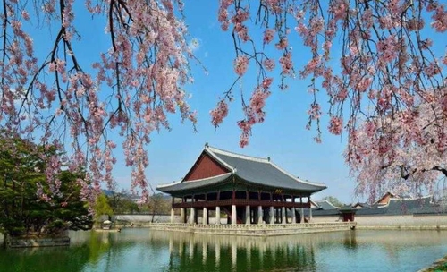 Guided tour of Gyeongbok Palace's marquee pavilion to resume next month