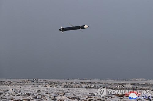 This photo, released by the North's official Korean Central News Agency on Jan. 31, 2024, shows the North carrying out a strategic cruise missile drill of the "Hwasal-2" off its west coast the previous day. (For Use Only in the Republic of Korea. No Redistribution) (Yonhap)