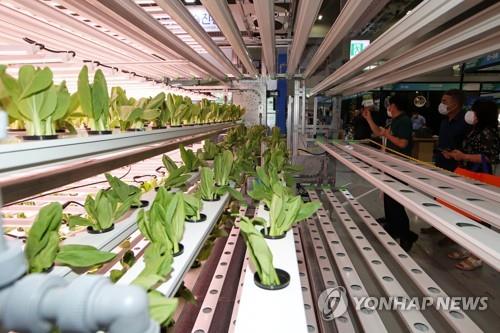 La Corée du Sud va doubler le budget des programmes d'APD agricole d'ici 2027