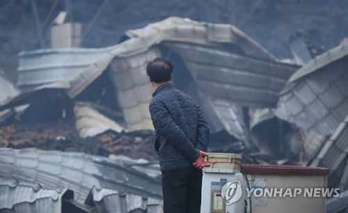 韓国北東部で大規模な山火事　文大統領が注意呼びかけ