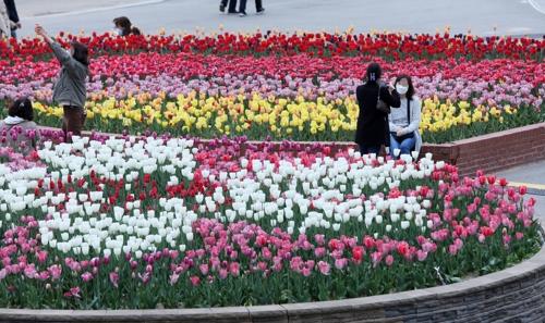 今年４月、高陽市・一山湖公園での「花博覧会」の様子（資料写真）＝（聯合ニュース）