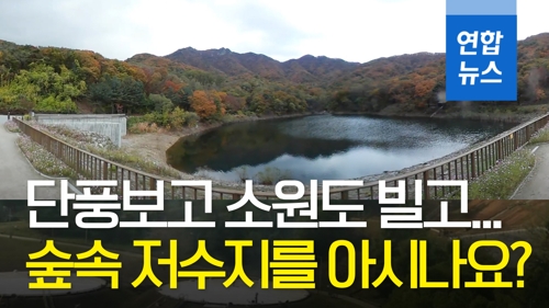 [VR] 단풍보고 소원빌고…서울대공원 비경 숲속저수지