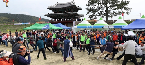 강진군 내년 3개 축제 집중 육성…"경쟁력 높인다"