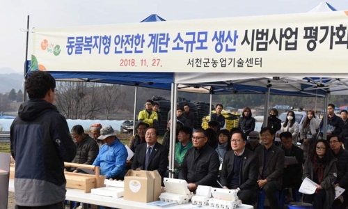 "건강한 유정란 생산해요" 서천서 동물복지 시범사업 평가회