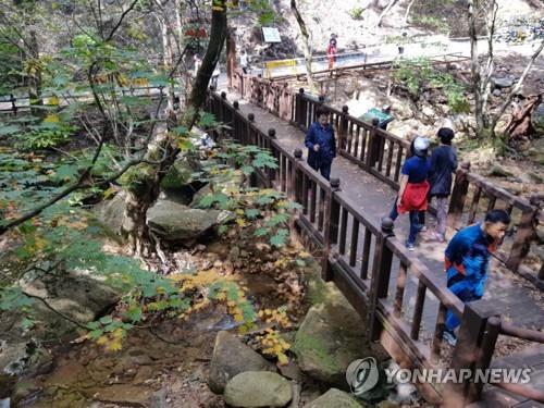 '오락가락' 미세먼지에 충북 유명산·유원지 '한산'