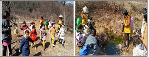 유아 숲 교육 활동 [강원도산림과학연구원 제공]