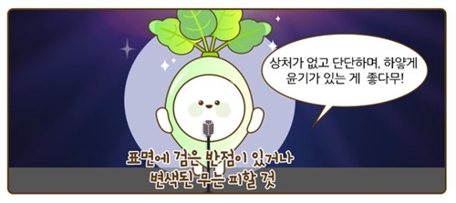 '생산량은 늘고 소비는 줄고'…월동 무 평년보다 20% 하락