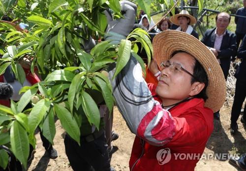 PK 찍고 TK로 온 황교안…'텃밭' 현장서 "민생 되살리겠다"