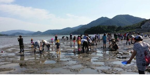 "쏙 잡는 재미에 푹 빠져 보세요"…강진군 체험 참가자 모집