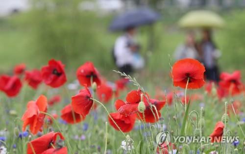 "빗속 망중한 즐기자"…충북 유명 산·유원지마다 나들이 인파