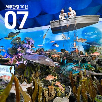 8월 제주관광 10선에 꼽힌 제주해양동물박물관