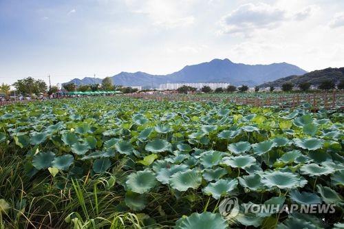 '자연과 사람이 함께'…주말 구미서 지산샛강 생태문화축제