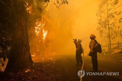 산불 진화작업 