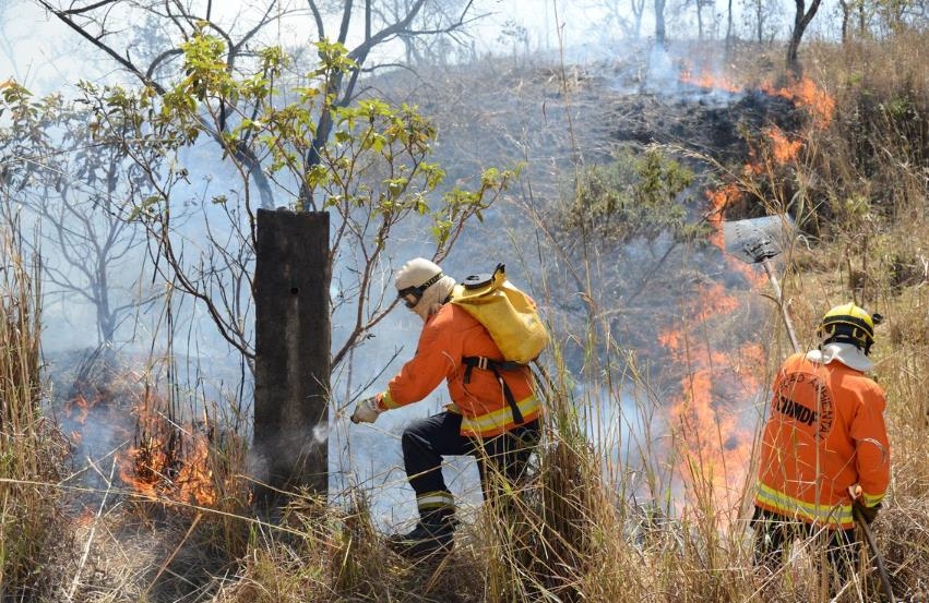 아마존 열대우림에서 진행되는 산불 진화 작업 [국영 뉴스통신 아젠시아 브라질]