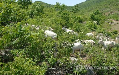 북한 태잠축산전문협동농장