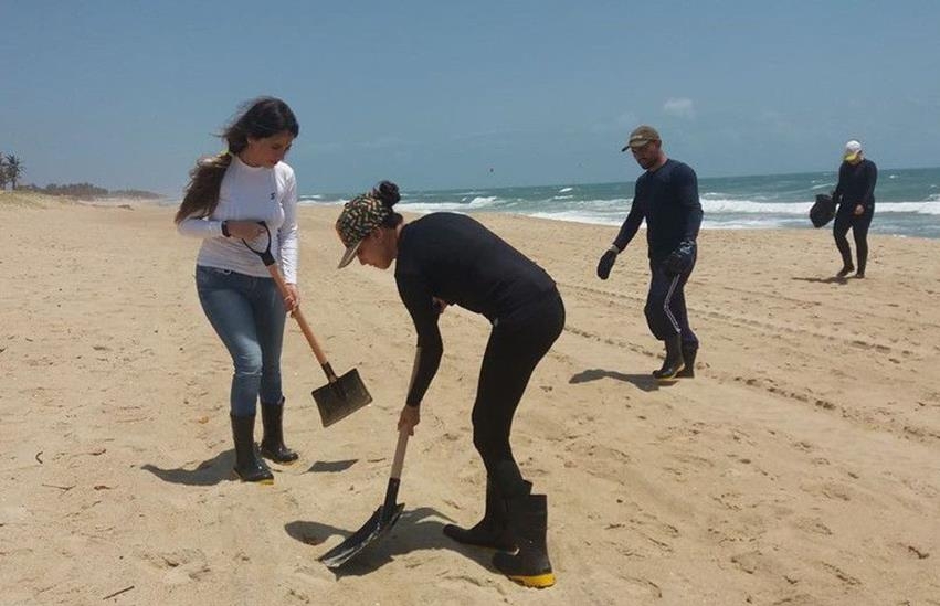 브라질 북동부 해변에서 기름 찌꺼기 수거 작업을 하는 자원봉사자들 [국영 뉴스통신 아젠시아 브라질]