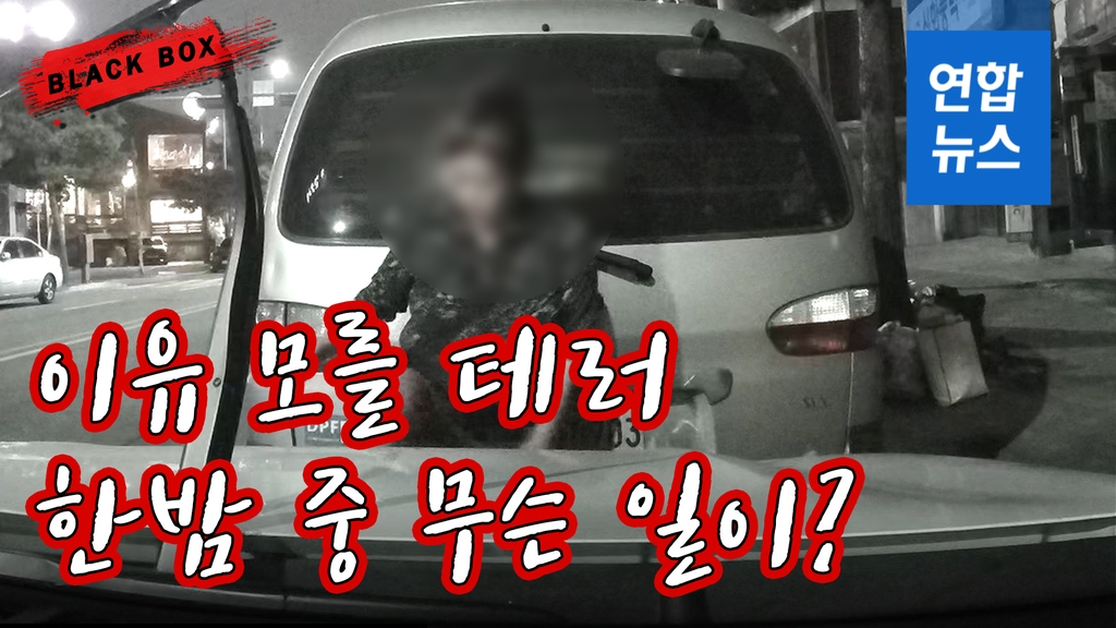 [블랙박스] '우지직' '퍽!'…한밤중 주차된 차 망가뜨리고 사라진 여성 - 2