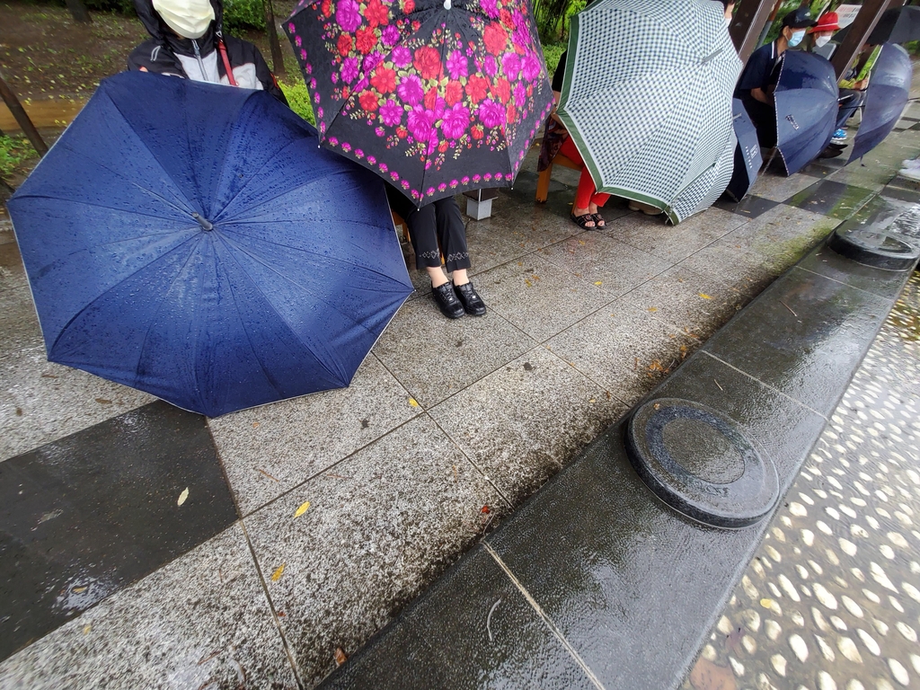 우산으로 가린 비