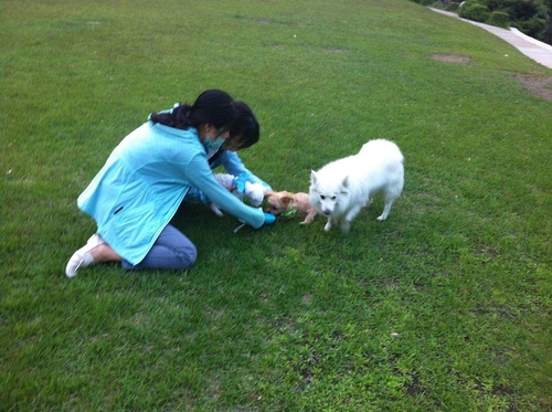 평양 주민이 반려견과 노는 모습 [주북 러시아 대사관 페이스북 계정 사진]