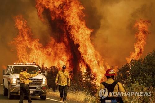 23일(현지시간) 미 캘리포니아주 레이크카운티의 한 도로 옆에서 LNU 파이어로 명명된 대형 산불의 불길이 거세게 치솟고 있다. [AP=연합뉴스]