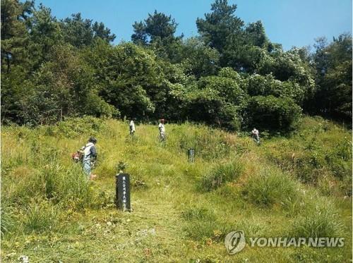 벌초하는 모습