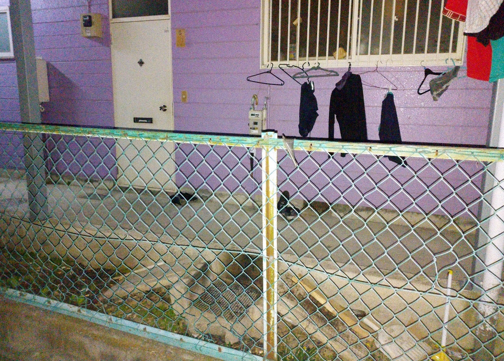 (도쿄 교도=연합뉴스) 일본 사이타마현 경찰이 1일 집안에서 돼지를 해체한 혐의로 체포한 베트남 국적의 29세 남자가 거주해온 아파트 전경. 집 앞에 바비큐용으로 보이는 석쇠가 놓여 있다.