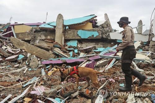 인도네시아 서부 술라웨시 지진 현장 수색
