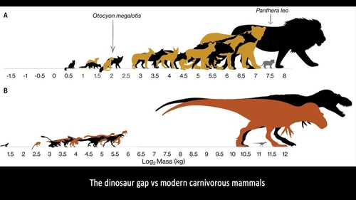 작은 공룡 종 드문 것은 대형 육식공룡 '10대' 새끼 탓
