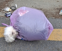 쓰레기봉투에 담긴 살아있는 몰티즈…경찰, 유기·학대자 수사