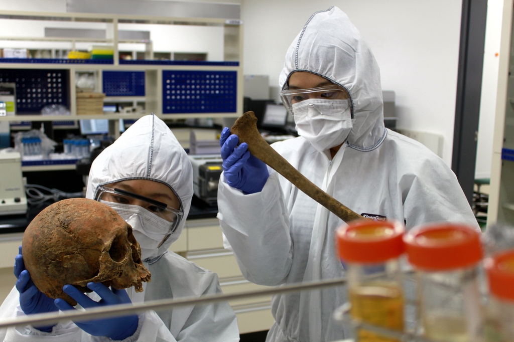 고DNA분석실 인골 조사