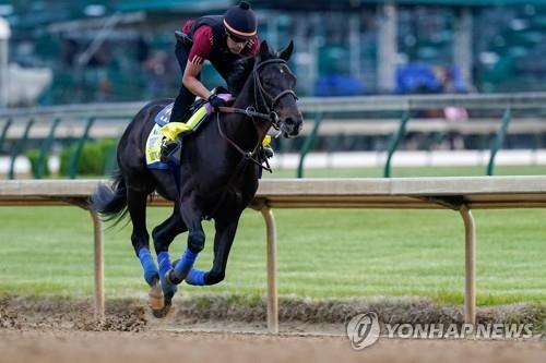 경마장에서 달리는 메디나 스피리트