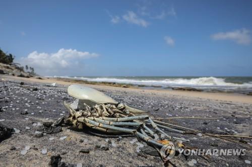 컨테이너선 MV X-프레스 펄호 화재로 인해 인근 해변이 플라스틱 알갱이 등으로 오염된 가운데 해변에서 발견된 죽은 게. [EPA=연합뉴스]